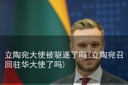 立陶宛外长兰茨贝尔吉斯